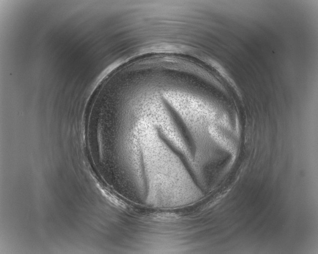 X0000078290837200611172120