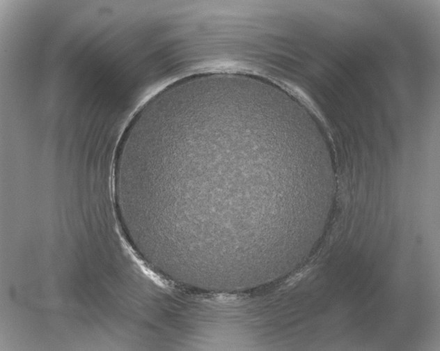 X0000078290839200611172120