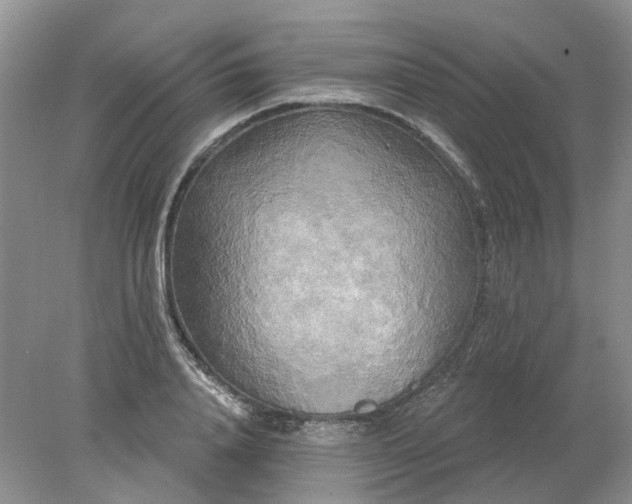 X0000078290840200611172120