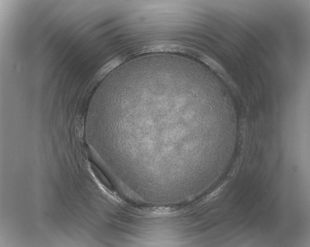 X0000078290841200611172120