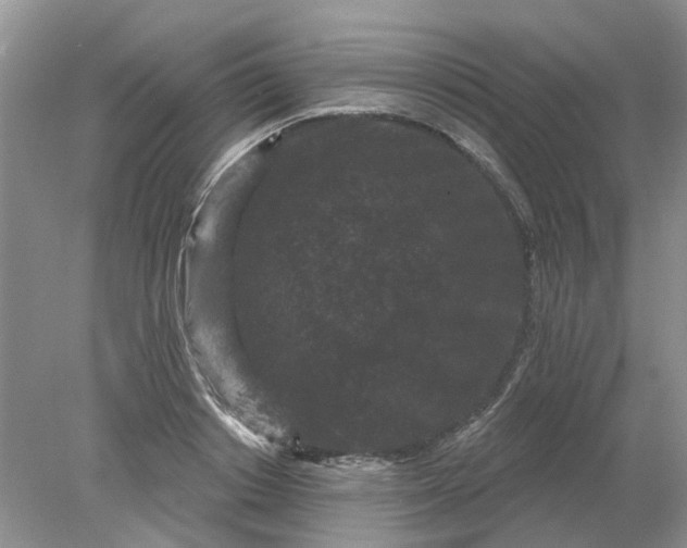 X0000078290842200611172120