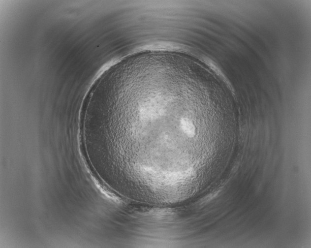 X0000078290845200611172120