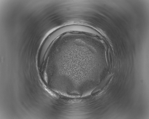 X0000078290846200611172120