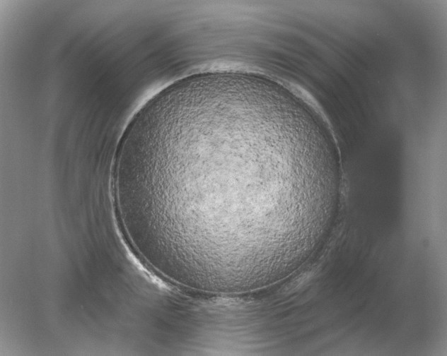 X0000078290847200611172120