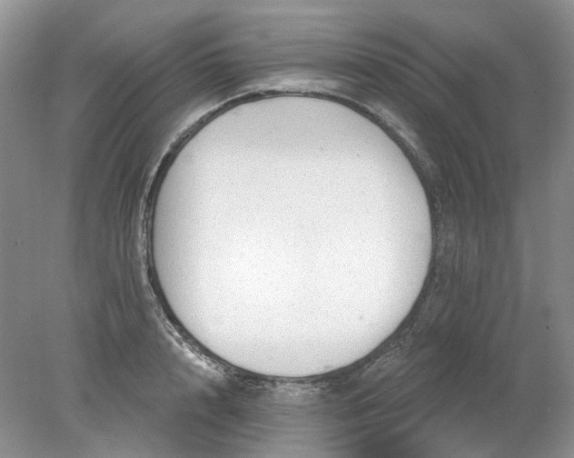 X0000078290848200611172120