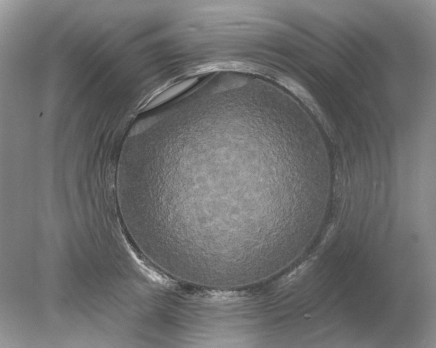 X0000078290849200611172120