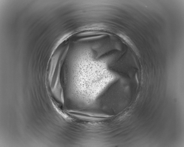 X0000078290850200611172120