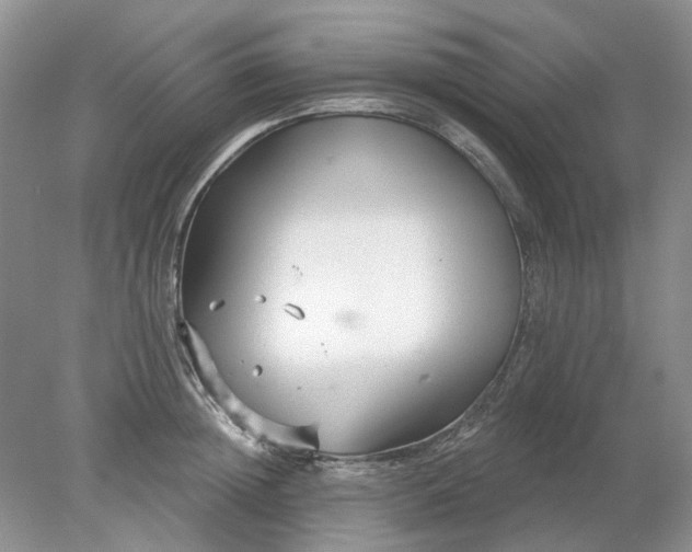 X0000078290852200611172120