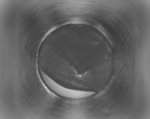 X0000078290853200611172120