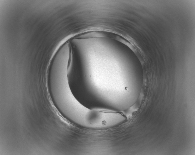 X0000078290854200611172120