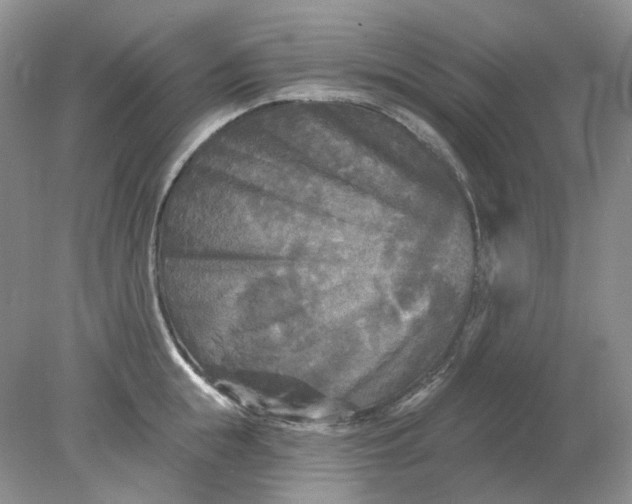 X0000078290855200611172120