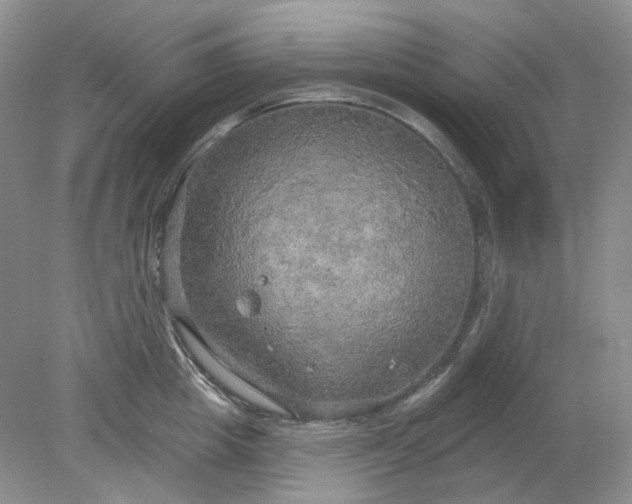 X0000078290857200611172120