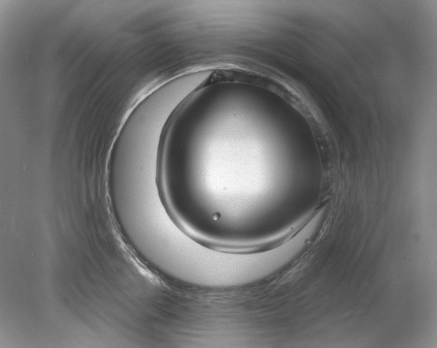 X0000078290858200611172120