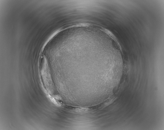 X0000078290859200611172120