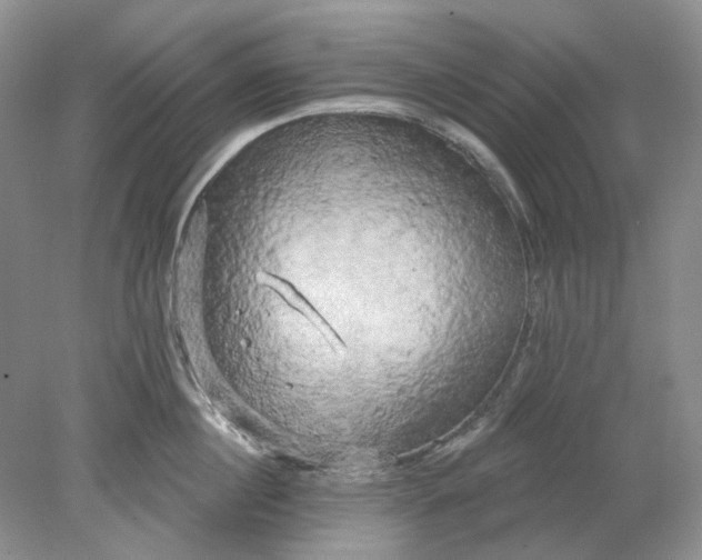 X0000078290860200611172120