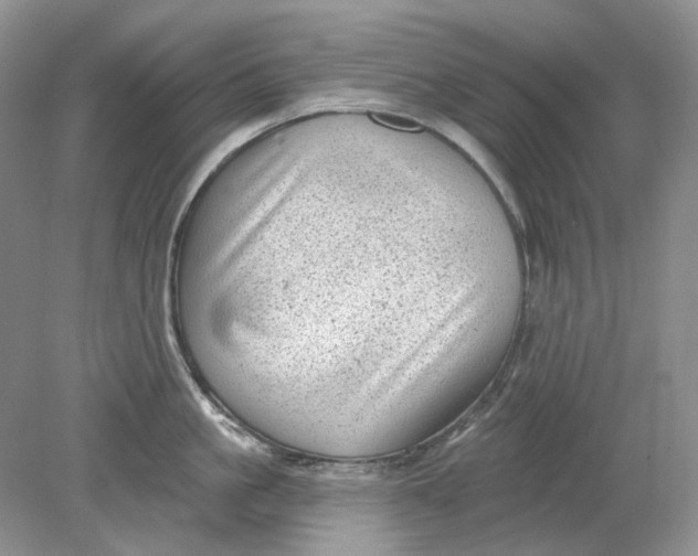 X0000078290861200611172120