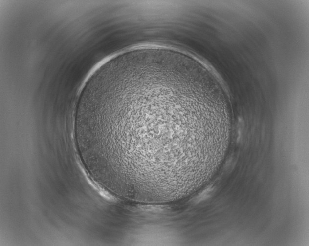 X0000078290862200611172121