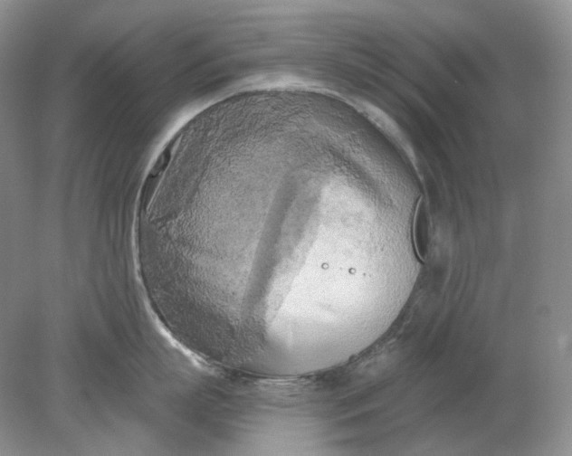 X0000078290863200611172121