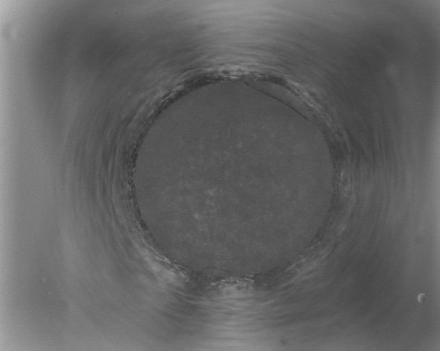 X0000078290865200611172120