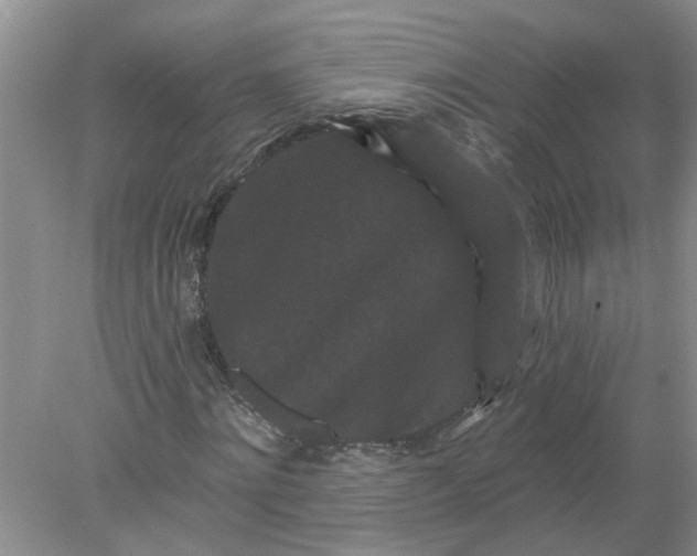 X0000078290868200611172120