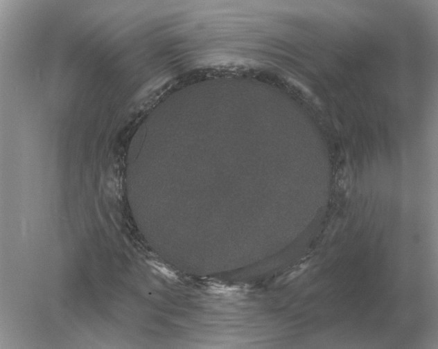 X0000078290869200611172120