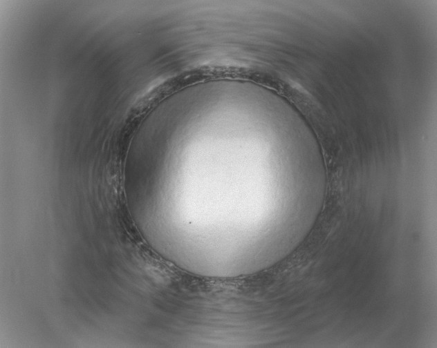 X0000078290870200611172120