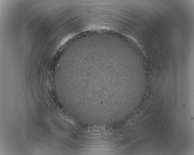 X0000078290871200611172120