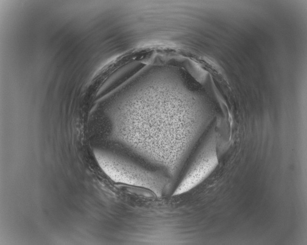 X0000078290872200611172120