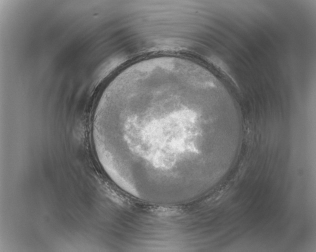 X0000078290874200611172120