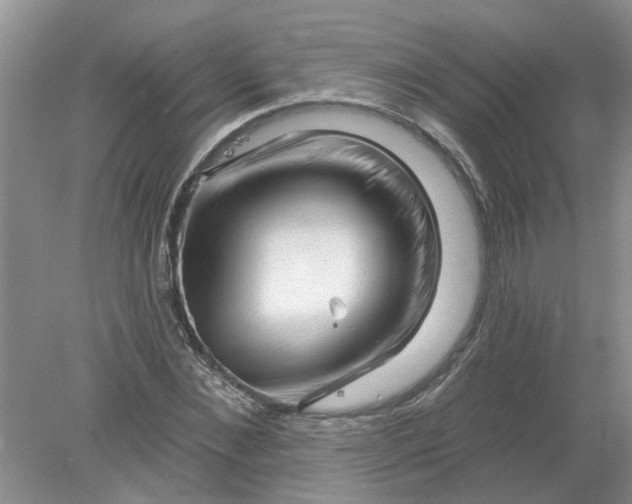 X0000078290876200611172120