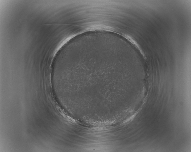 X0000078290877200611172120