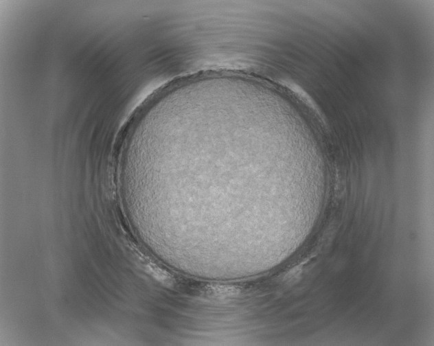 X0000078290878200611172120