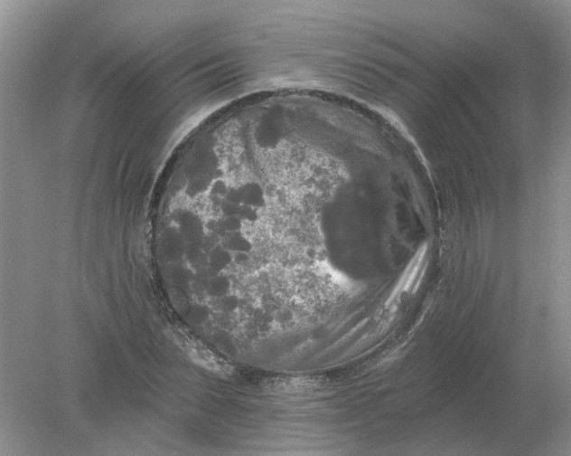 X0000078290879200611172119