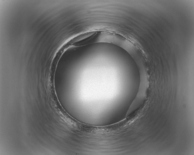 X0000078290880200611172119