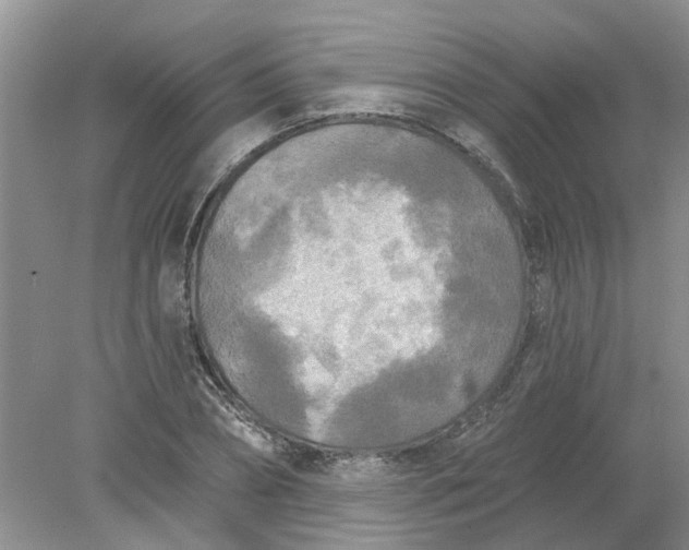 X0000078290882200611172119