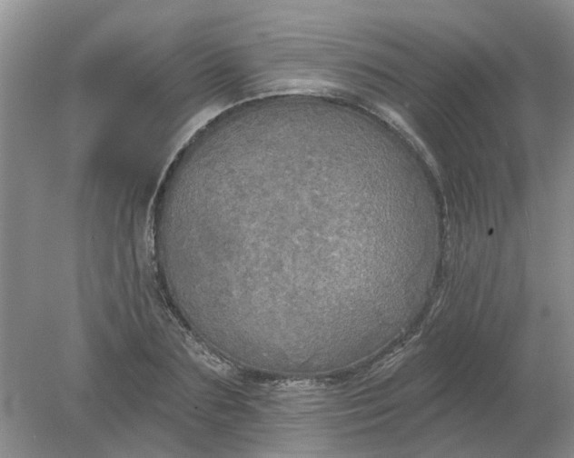 X0000078290883200611172119