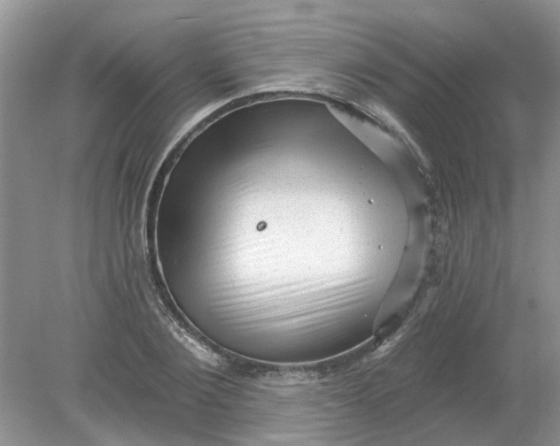 X0000078290884200611172119