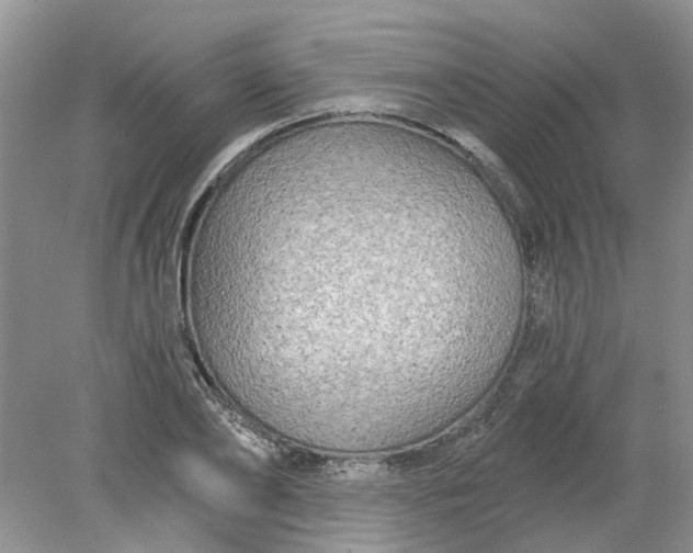 X0000078290886200611172119