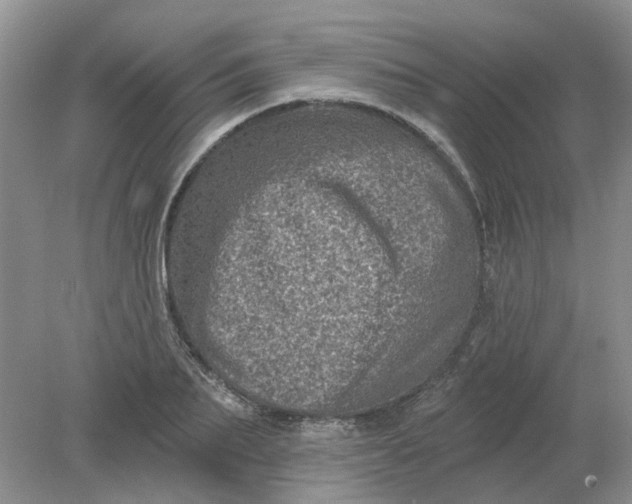 X0000078290887200611172119