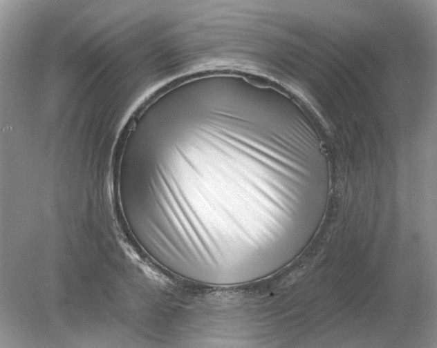 X0000078290888200611172119