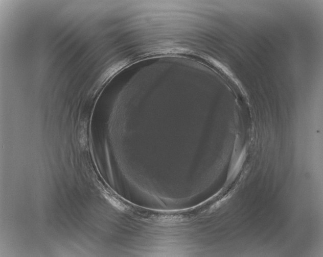 X0000078290889200611172119