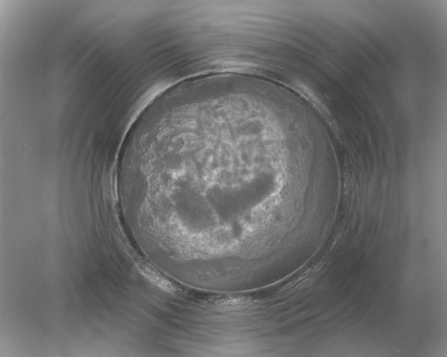 X0000078290891200611172119