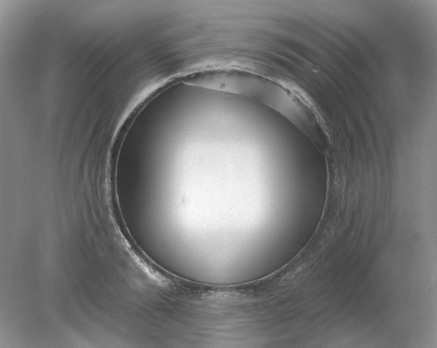 X0000078290894200611172119