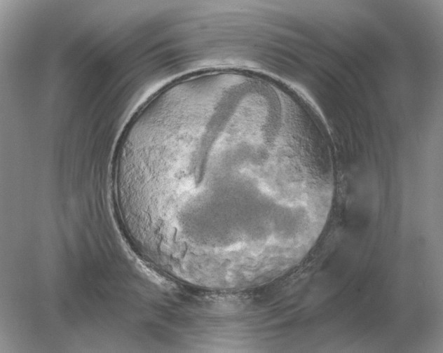 X0000078290895200611172119