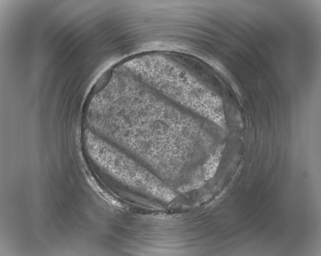 X0000078290896200611172119