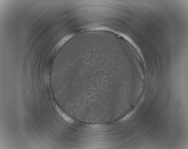 X0000078290897200611172119