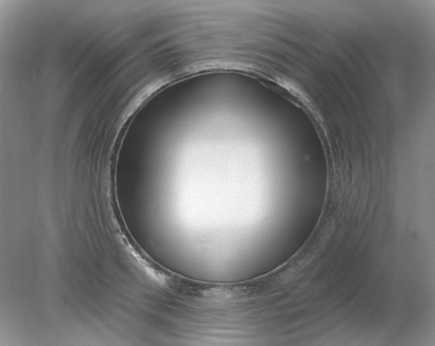 X0000078290898200611172119