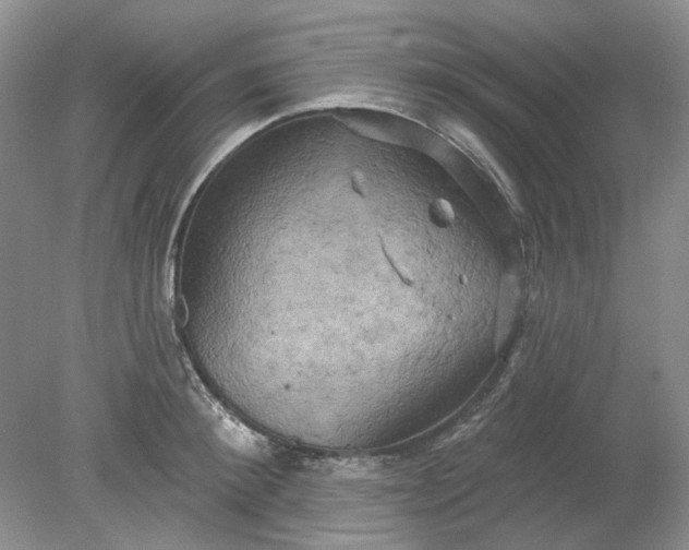 X0000078290900200611172119