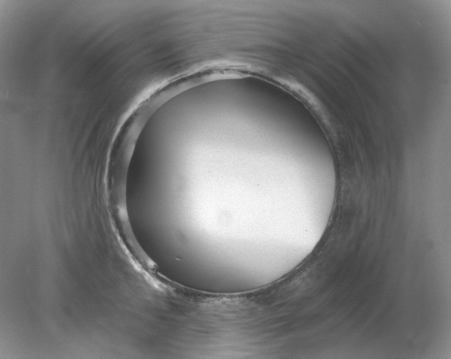 X0000078290902200611172119