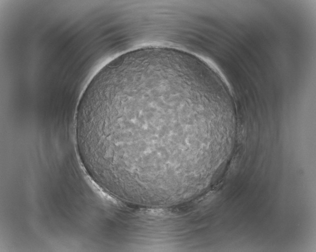 X0000078290903200611172119